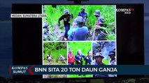 BNN Sita 20 Ton Daun Ganja