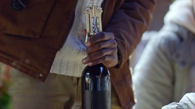 Even Bartenders Are Obsessed with This $20 Gadget That Opens Wine Bottles in Seconds