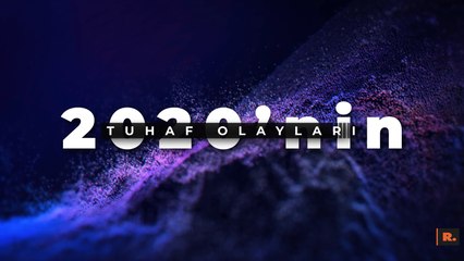 2020'nin tuhaf olayları: 'Hırsız' maymunlar, UFO'lar, kayıp yıldız...