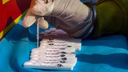 Meerut:Two-year-old tests positive for new covid strain
