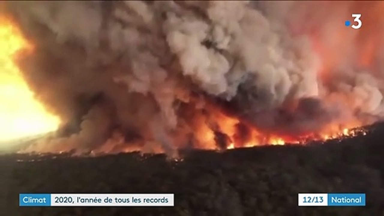 Climat : les catastrophes naturelles se sont multipliées en 2020