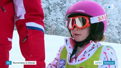 Hautes-Alpes : une station de ski remplace les remontées mécaniques par des chevaux