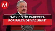 Vacuna anticovid de AstraZeneca llegará a México en marzo: AMLO