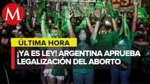 Aborto legal en Argentina es ley: así celebran feministas