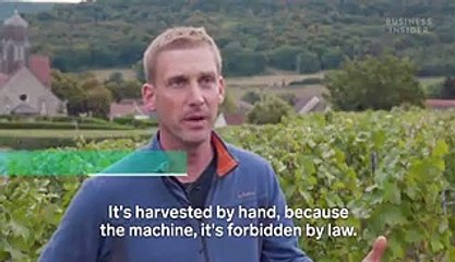 We went to a Champagne vineyard in France to find out why it's so expensive