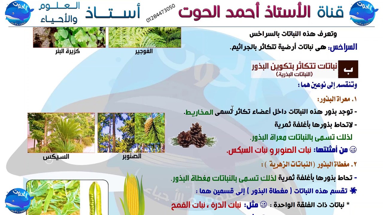 شرح درس تنوع الكائنات الحية ومبادئ تصنيفها الجزء الثاني - علوم الصف الأول الاعدادي الترم الأول 2021