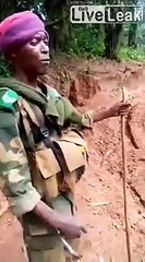 Ces camions sont VRAIMENT tout terrain