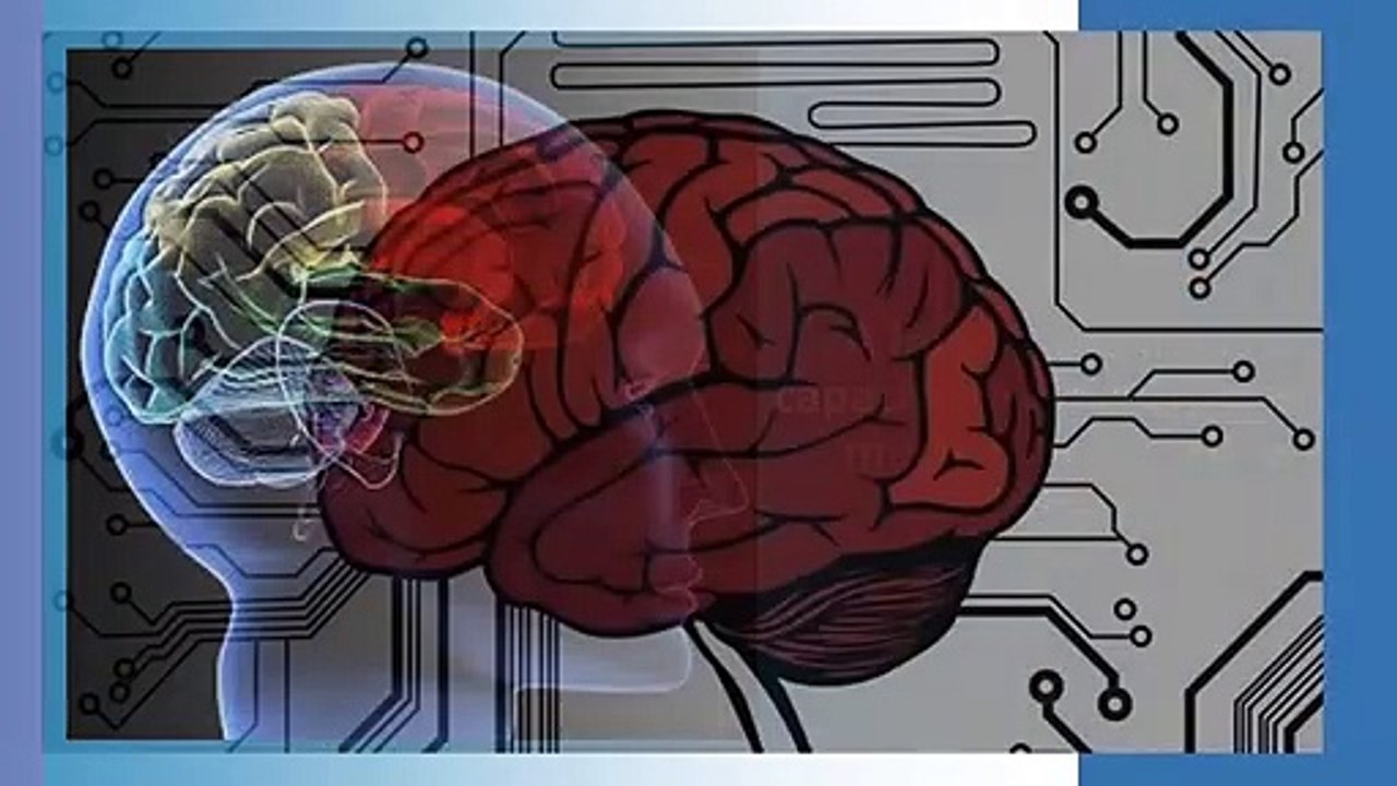 A human brain has a capacity to store 5 times as much information as wikipedia.