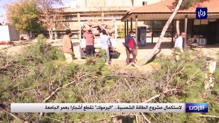 لاستكمال مشروع الطاقة الشمسية.. اليرموك تقطع أشجارا بعمر الجامعة