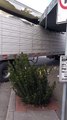 Semi Truck Driver Makes a Very Expensive Wrong Turn