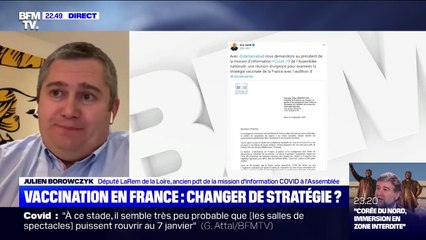 Julien Borowczyk (LaREM) sur la vaccination: "Dans les jours qui viennent, la montée en puissance se fera"