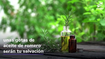 Aceite de romero: el secreto para un cabello largo y sin canas