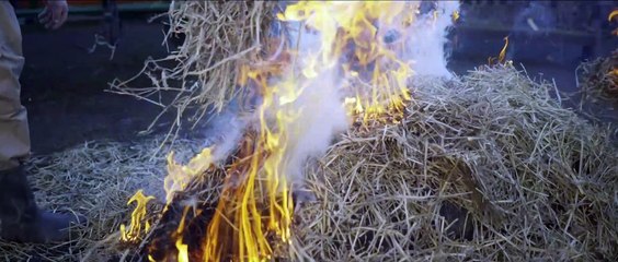 Toni si Paul de la Brasov - Suncile,bucile - Joc tiganesc 2021