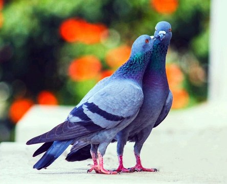 #rap #hiphop #music #rapper #trap #beats #rapmusic #Artist #love #producer #newmusic #hiphopmusic #freestyle #rappers #soundcloud #art #explorepage #spotify #follow #Youtube #dj #like #trapmusic #rnb #hiphop #bhfyp #beat #musicproducer I love you