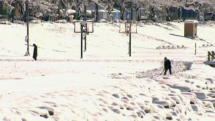 서해안·제주 중심 이틀째 폭설...빙판길 조심! / YTN