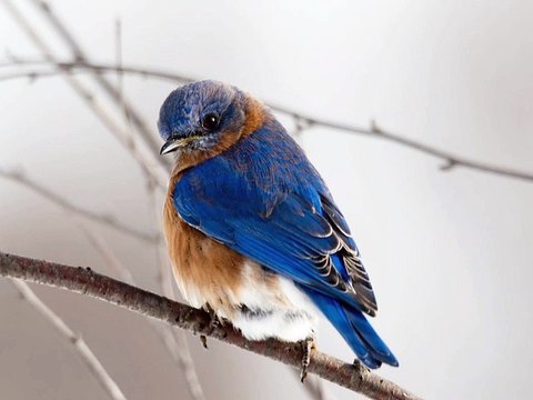 Love love oisaeux #hiphop #hiphopmusic #hiphopculture #hiphophead #HipHopartist #HipHopLife #hiphopdance #hiphopjunkie #hiphopbeats #hiphopheads #hiphopstyle #HipHopNation #hiphopart #hiphopdx #hiphopnews #hiphopblog #hiphopweekly #hiphopbeat #HipHopAward