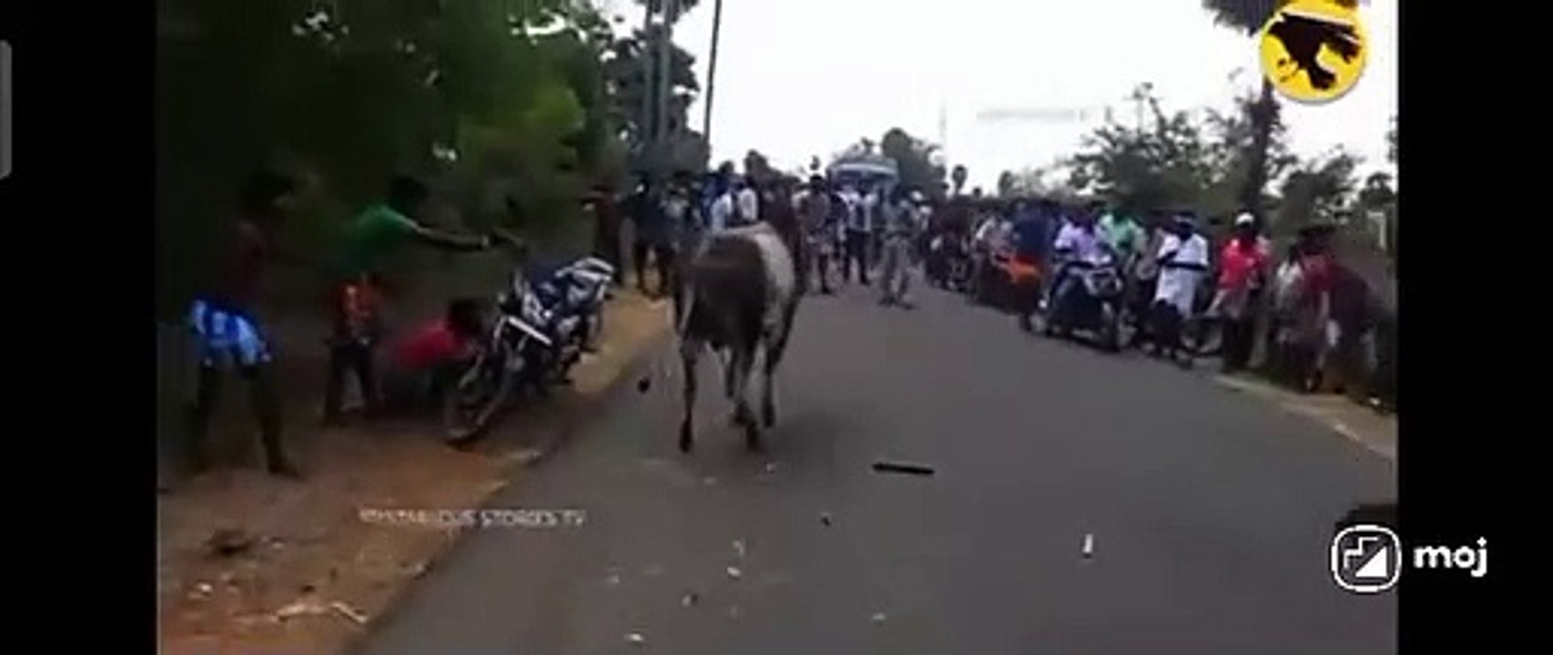 Joke vedio