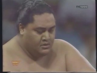 Royal Rumble 1994, Del 2 av 4 (Svenska kommentatorer)