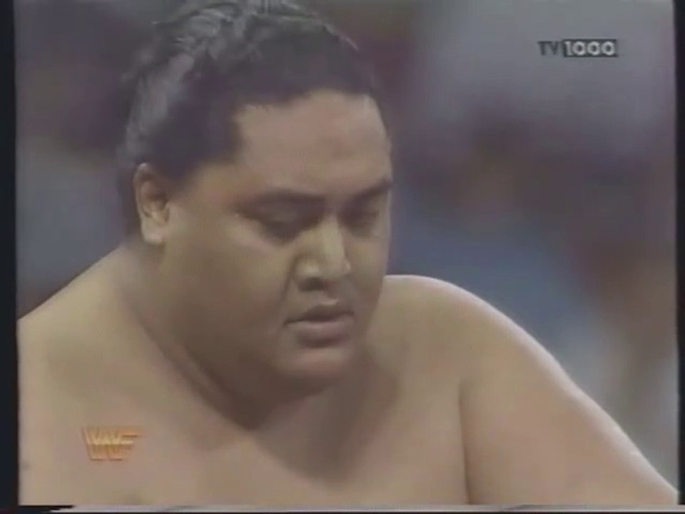 Royal Rumble 1994, Del 2 av 4 (Svenska kommentatorer)