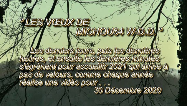 LES VŒUX DE MICHOU64 W-D.D. - 30 DÉCEMBRE 2020 - PAU - POUR VOUS OFFRIR MES VŒUX - MY WISHES FOR - MIS DESEOS PARA