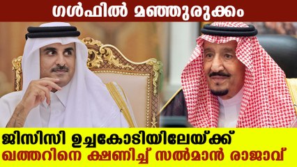 ഖത്തറിന് വിലക്കേര്‍പ്പെടുത്തിയ ശേഷമുളള മൂന്നാമത്തെ ഉച്ചകോടി | Oneindia Malayalam