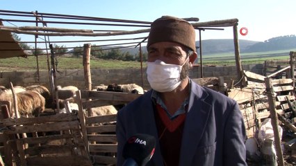 Hayvanları Çalınan Kadının Gözyaşları