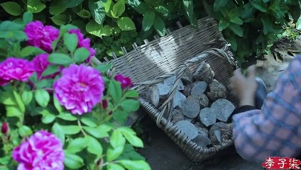 The life of taro and pepper is today’s treat