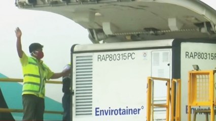 Detik-detik Kedatangan Vaksin Sinovac Tahap 2