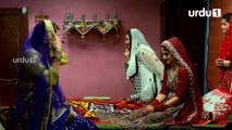 Bilqees Urf Bitto - Episode 12 | Urdu 1 Dramas | Hira Mani, Fahad Mirza