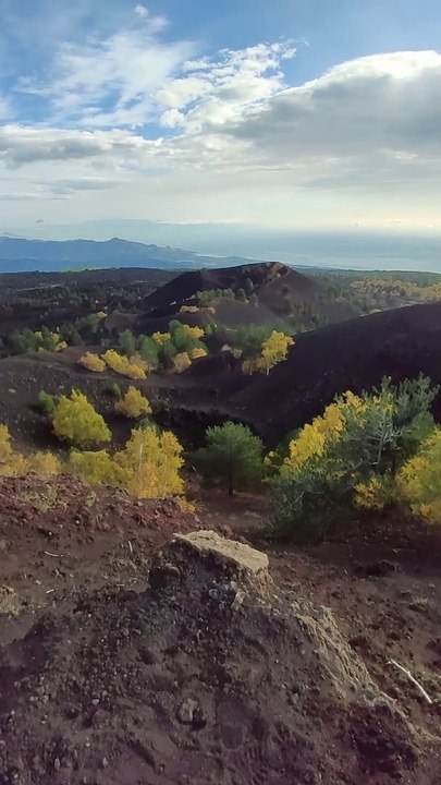 Etna: Crateri Sartorius 3 Novembre 2019.