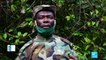 Congo-Brazzaville : protéger le gorille des plaines de l'Ouest, espèce très menacée