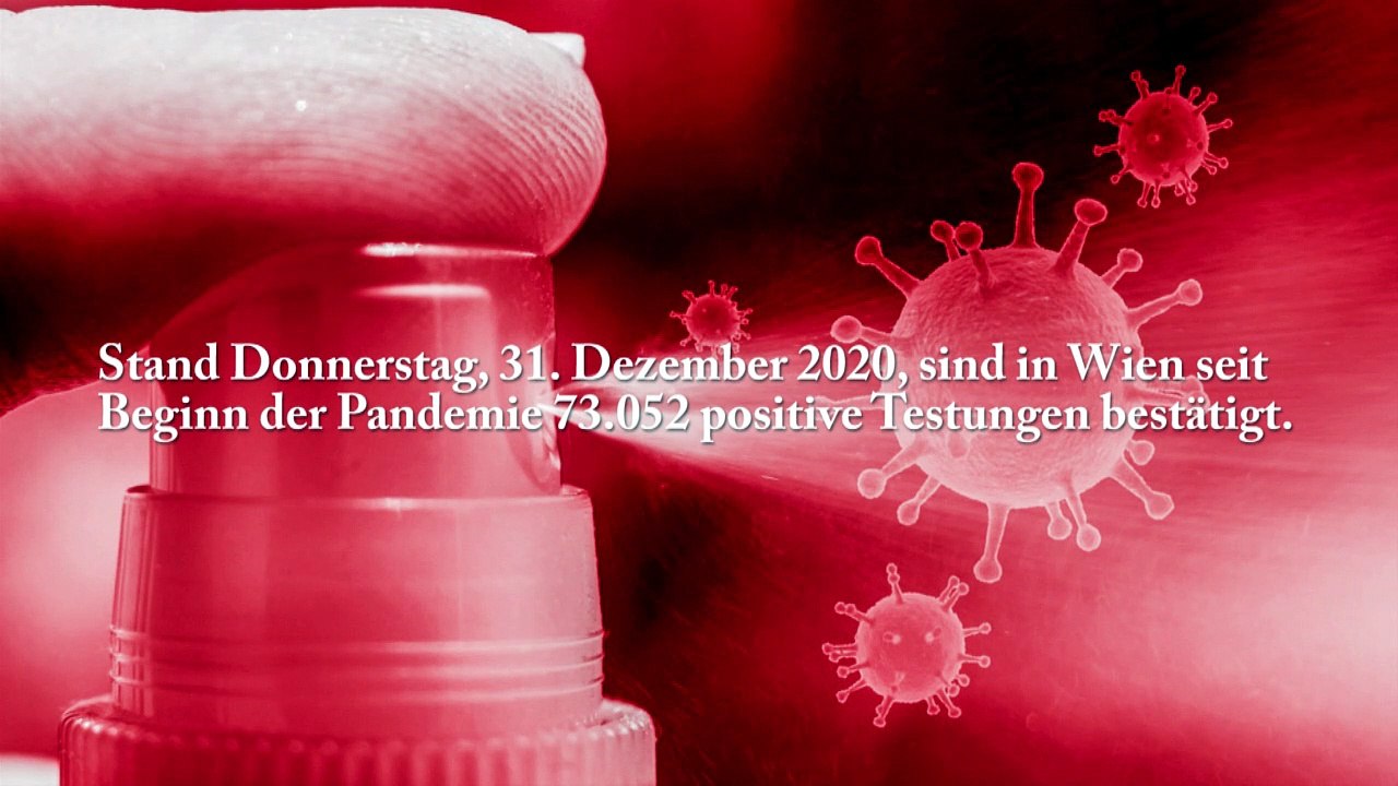 Wien Corona-Virus Kennzahlen 31 12