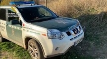 Hallan en una finca madrileña perros en estado deplorable