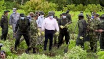 كولومبيا تعلن إتلاف مساحات قياسية من حقول الكوكا للسنة الثانية على التوالي