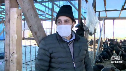 Hindi satışları salgına rağmen ne durumda? | Video