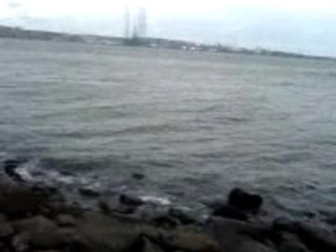 Algerien a halifax kabyle