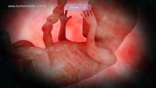 Pregnancy Week 10 - Three Months Pregnant