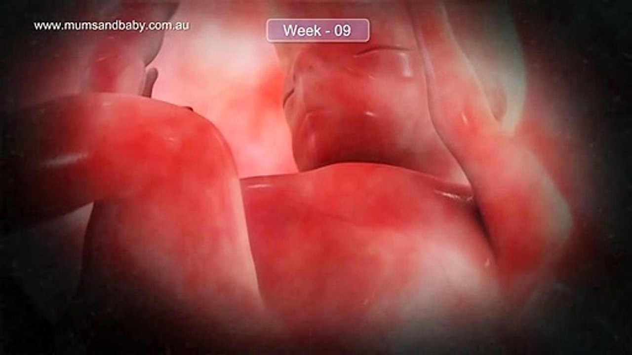 Pregnancy Week 9 - Two Months Pregnant