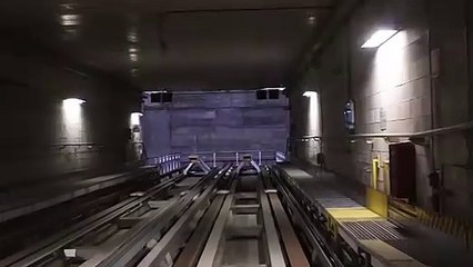 Dining Chairs with Black Legs Designs