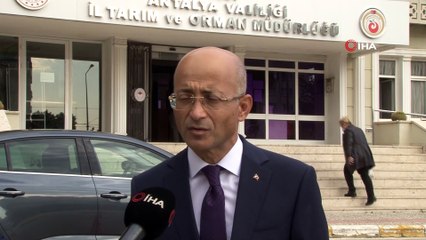 Antalyalı balıkçılar balon balığının kuyruğundan 180 bin TL kazandı
