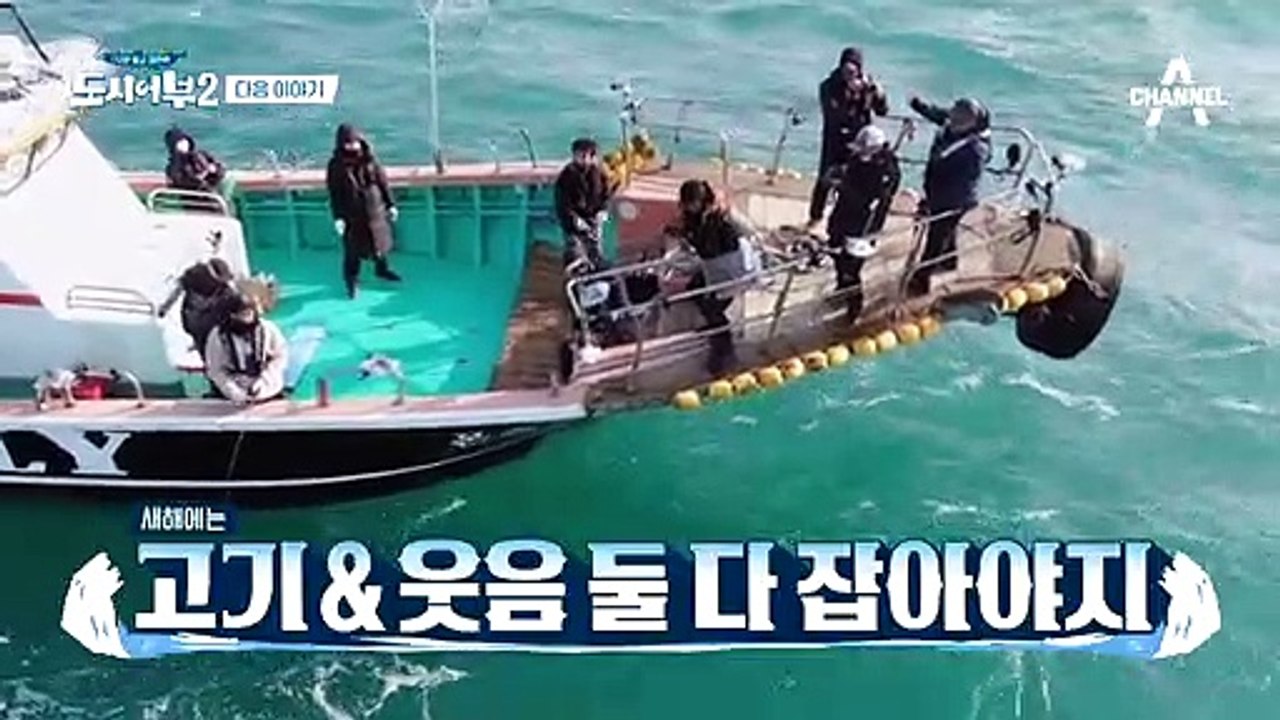 [다음이야기] 미치도록 조황 좋은 NEW 도시어부! 참돔의 시대가 열린다!