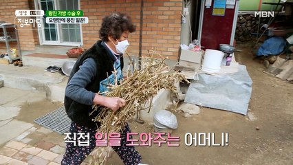 마당 청소도 거뜬! 어머니의 거침없는 발걸음