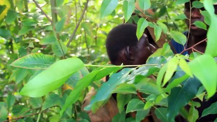 Bullies Call Him Monkey - BORN DIFFERENT