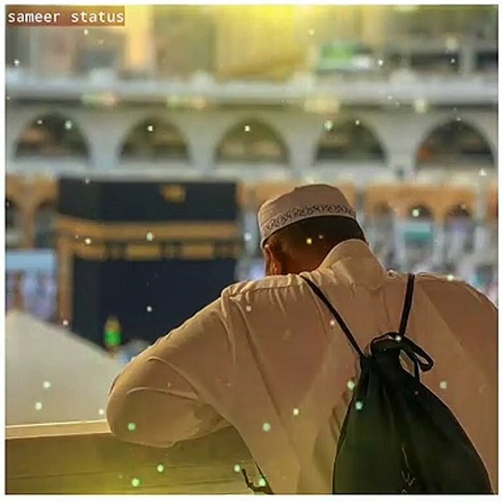 Islamic whatsap status|beautiful naat Shareef status|dua status|couples status Islamic //beautiful ❤️ new naat Shareef statu/