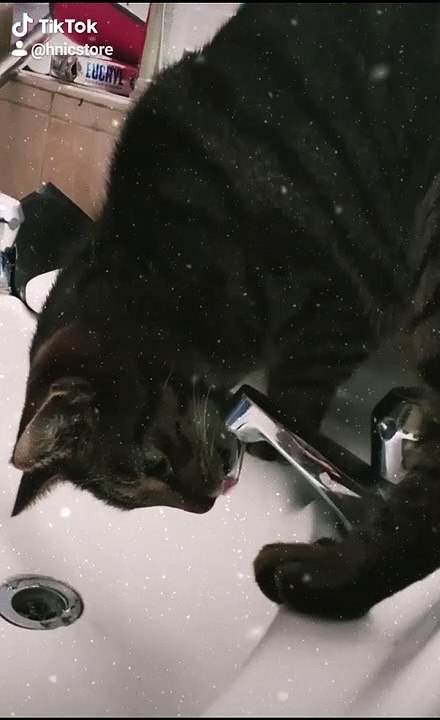 When you just need a drink