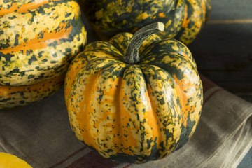 When Life Gives You Winter Squash, Make Squash Skin Chips