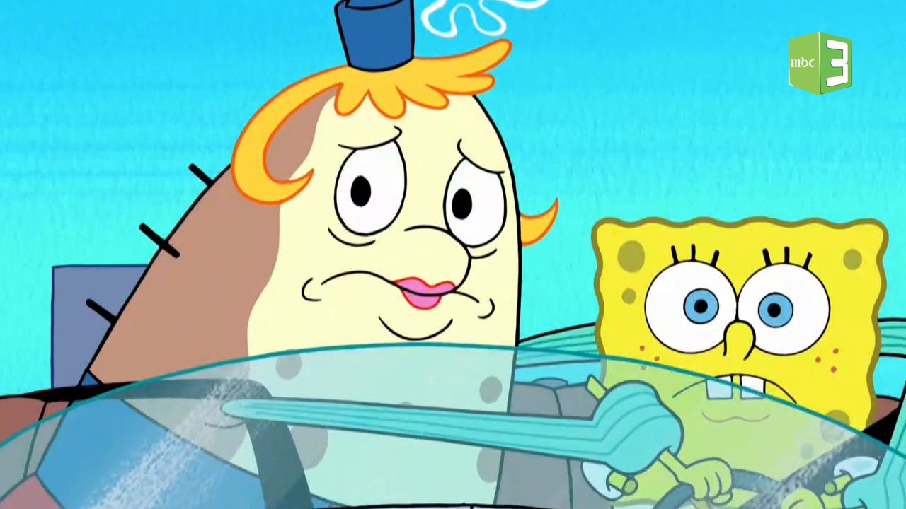 قيادة سبونج بوب المتهورة.. شاهد الفيديو     #MBC3