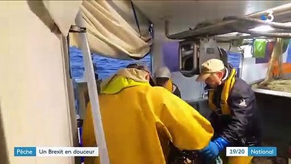 Brexit : une rupture en douceur pour les pêcheurs