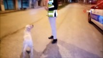 Trafik polisinin köpeğe şefkati yürekleri ısıttı