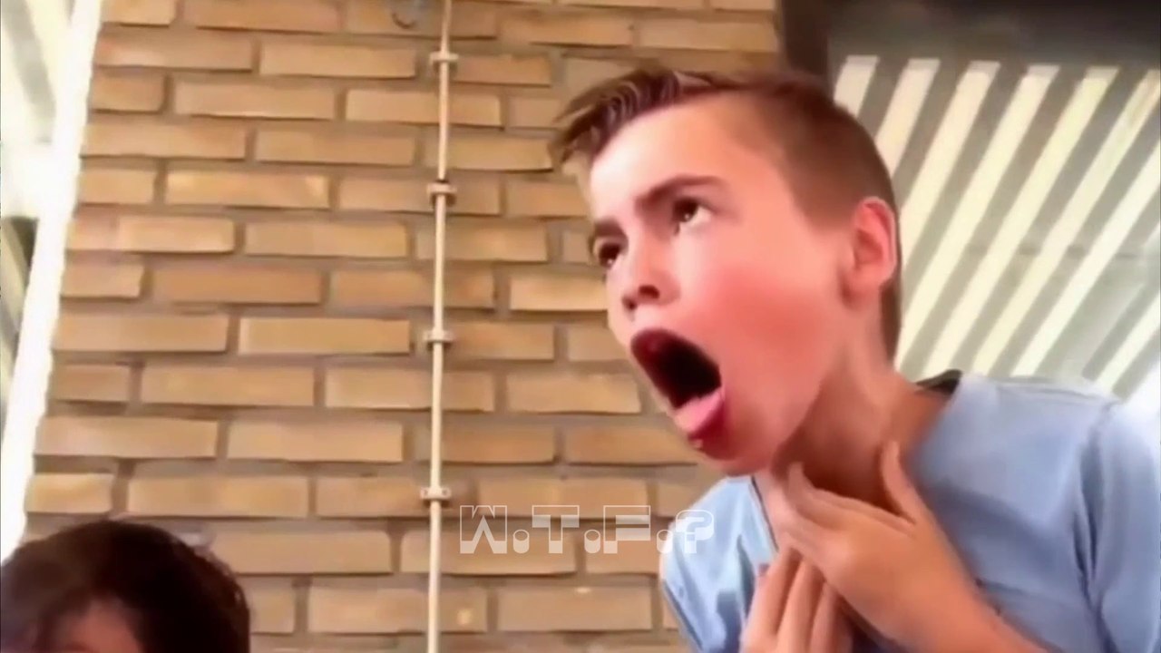 VIDEOS YOU WON'T BELIEVE I FOUND #101 | Reddit Videos | Reddit videos I’ve collected